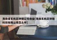 海南省玄机区块链公司收益[海南玄机区块链科技有限公司怎么样]